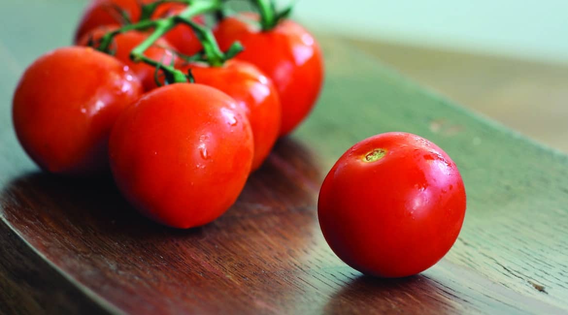 Le Riverain - Tomates surprises