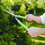 Spécial Aménagements extérieurs – Jardinage : Une activité saine