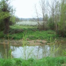 Tarn & Garonne : Comité stratégique de la mission interservices de l’eau et de la nature (MISEN)